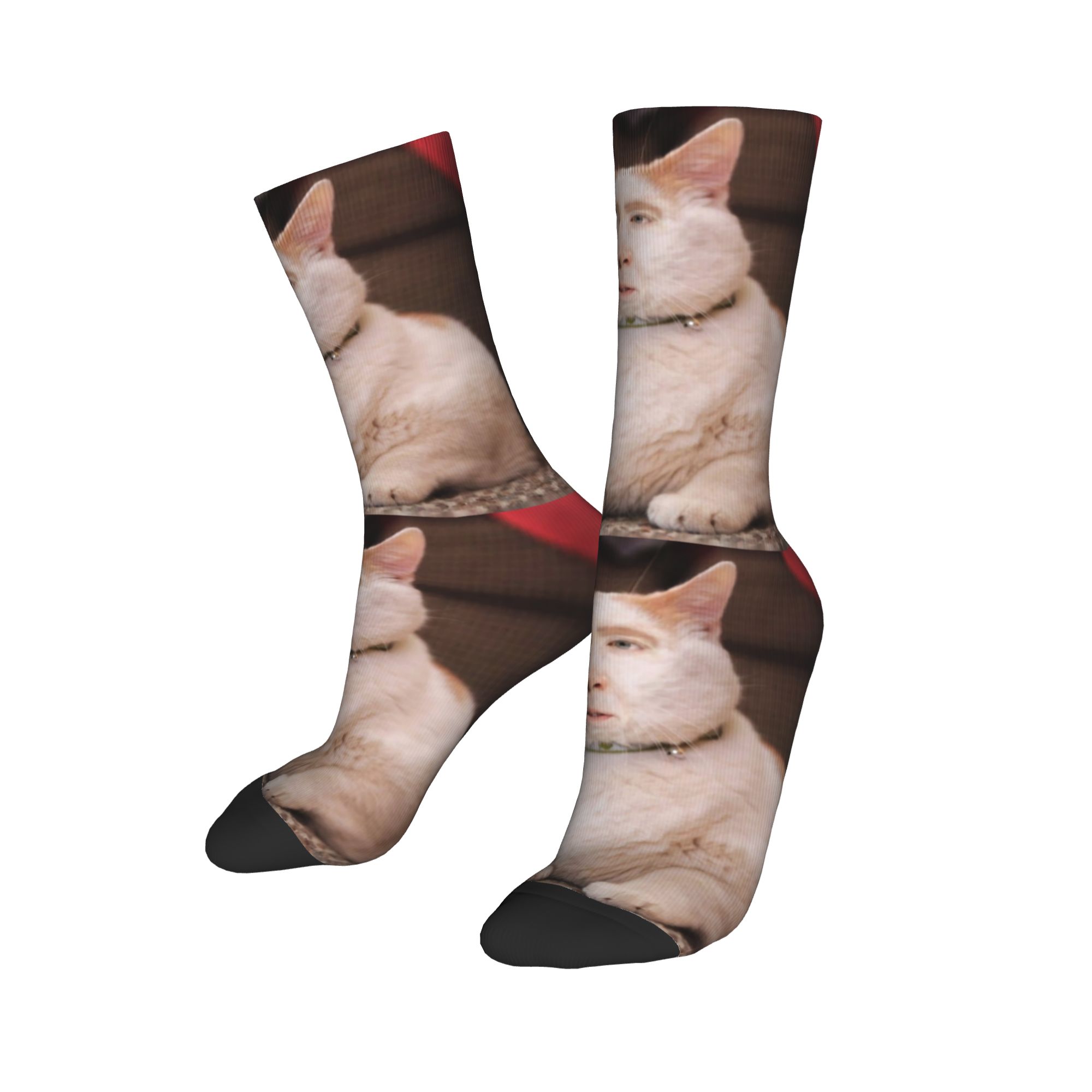 Custom Nicolas Cage Cat Meme M - Dress Sock Men ulasan dan harga
